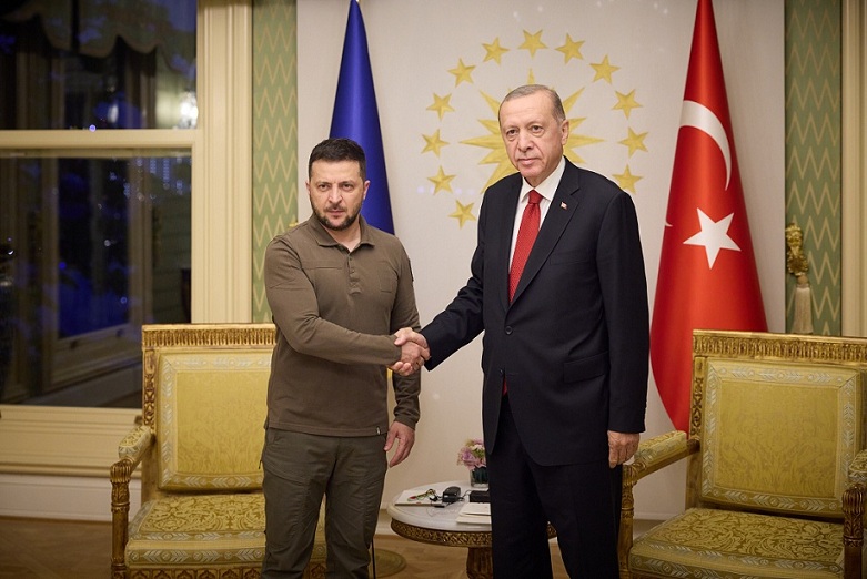 Zelenskyy and Erdogan.jpg